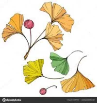 BOTANICKÁ ZAHRADA